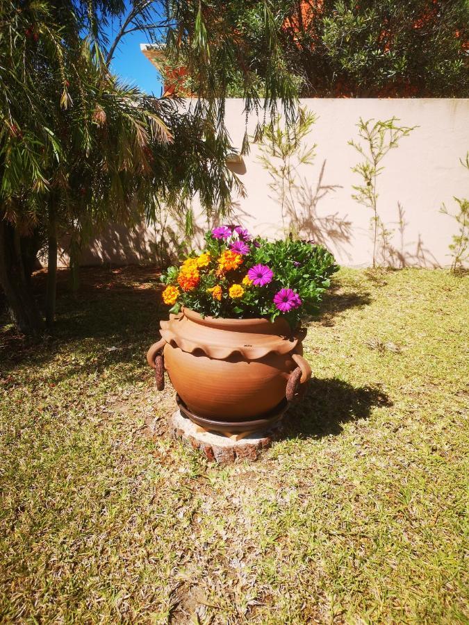 Hotel Casa Dos Cedros à Lagos Extérieur photo